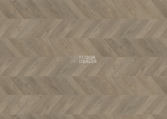 Ламинат Haro Chevron 8мм 545182 Дуб Серый Шеврон фото 1 | FLOORDEALER