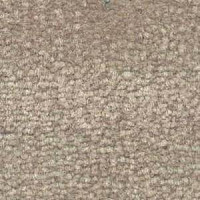 Shaw Bradberry 30 531 фото 1 | FLOORDEALER
