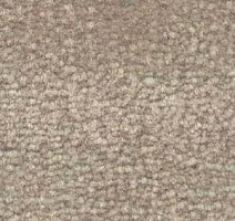 Ковролин Shaw Bradberry 30 531 фото 1 | FLOORDEALER