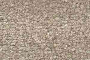 Ковролин Shaw Bradberry 30 531 фото  | FLOORDEALER