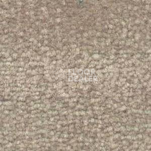 Ковролин Shaw Bradberry 30 531 фото 1 | FLOORDEALER