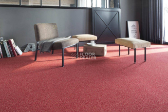 Ковролин Balsan Kaviar Kaviar фото 1 | FLOORDEALER