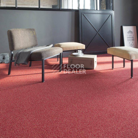 Ковролин Balsan Kaviar Kaviar фото 1 | FLOORDEALER