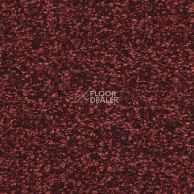 Ковролин Balsan Ultrasoft 580 фото 1 | FLOORDEALER