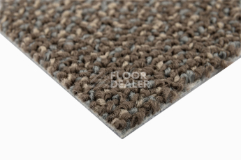 Neuflor Sandunes 300505 фото 4 | FLOORDEALER