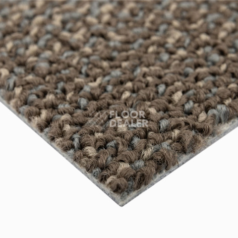 Neuflor Sandunes 300505 фото 4 | FLOORDEALER