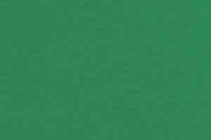 Линолеум Taraflex Performance Uni 6570_Mint_Green фото  | FLOORDEALER