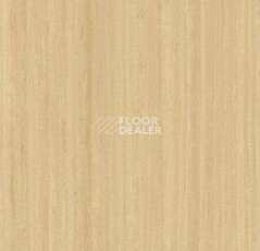 Кварцвиниловые полы Forbo Marmoleum Modular Lines 5216 фото 1 | FLOORDEALER