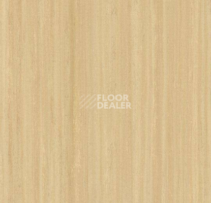 Кварцвиниловые полы Forbo Marmoleum Modular Lines 5216 фото 1 | FLOORDEALER
