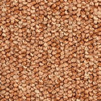 Ковролин Balsan Santa Fe DD Santa Fe dd 450 фото 1 | FLOORDEALER