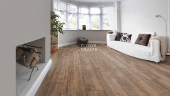 Kronotex Exquisit Plus d4784 Дуб Гала Коричневый фото 11 | FLOORDEALER