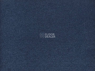 Ковролин Big Andorra 896 фото 1 | FLOORDEALER