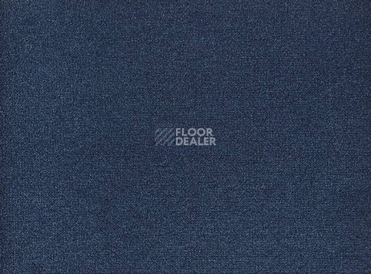 Ковролин Big Andorra 896 фото 1 | FLOORDEALER