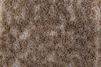 Flotex Colour s 445025 Canyon Earth фото 2 | FLOORDEALER