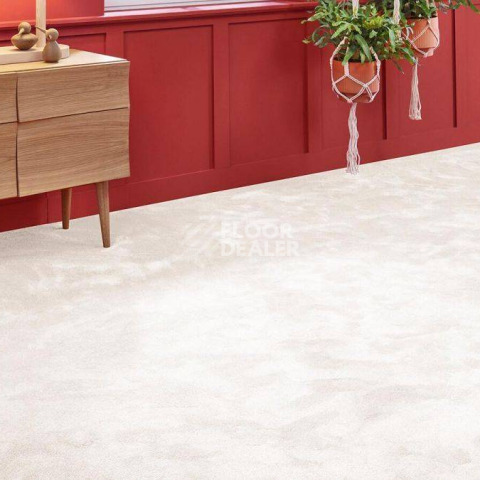 Vorwerk Superior 1067 Mira Vorwerk 6c74 фото 2 | FLOORDEALER