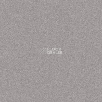 Линолеум Tarkett iq Melodia 2603 фото 1 | FLOORDEALER