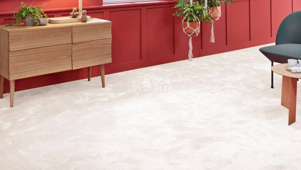 Vorwerk Superior 1067 Mira Vorwerk 6c74 фото 2 | FLOORDEALER