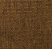 Ковролин Carpet Concept Eco Iqu 60239 фото 1 | FLOORDEALER