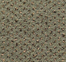 Condor Carpets Argus 521 фото 1 | FLOORDEALER