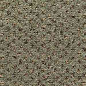 Ковролин CONDOR Carpets Argus 521 фото ##numphoto## | FLOORDEALER