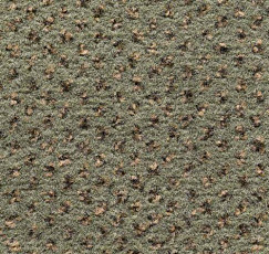 Ковролин Condor Carpets Argus 521 фото 1 | FLOORDEALER