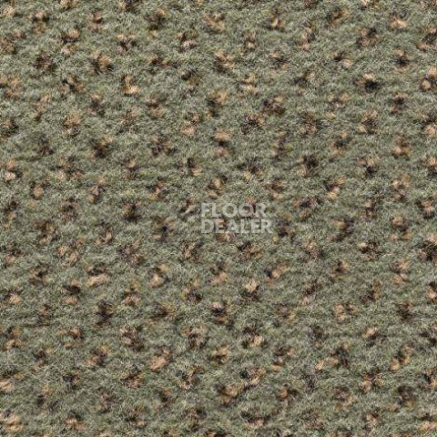 Ковролин Condor Carpets Argus 521 фото 1 | FLOORDEALER