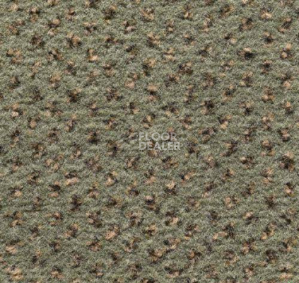Ковролин Condor Carpets Argus 521 фото 1 | FLOORDEALER