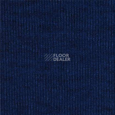 Ковролин Tapibel Ascot 3538 фото 1 | FLOORDEALER