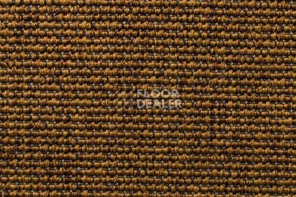 Ковролин Carpet Concept Eco Iqu 60239 фото 1 | FLOORDEALER