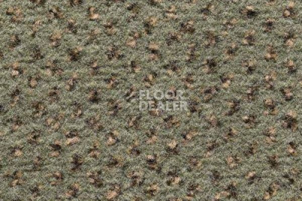 Ковролин CONDOR Carpets Argus 521 фото 1 | FLOORDEALER