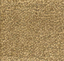 Ковролин Emphatic Beaulieu of America 56755 фото 1 | FLOORDEALER