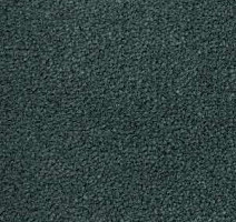 Ковролин Radici Montecarlo 67 фото 1 | FLOORDEALER