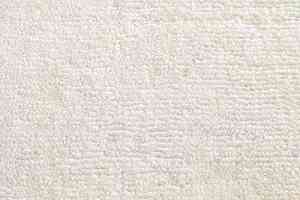 Ковролин Jacaranda Carpets Willingdon Vanilla фото  | FLOORDEALER