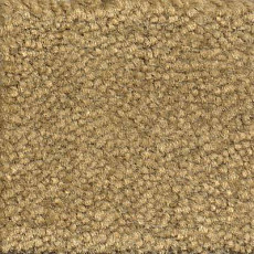 Ковролин Emphatic Beaulieu of America 56755 фото 1 | FLOORDEALER