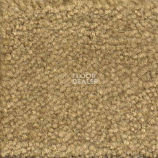 Ковролин Emphatic Beaulieu of America 56755 фото 1 | FLOORDEALER
