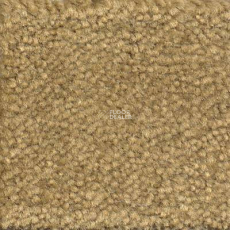 Emphatic Beaulieu of America 56755 фото 1 | FLOORDEALER