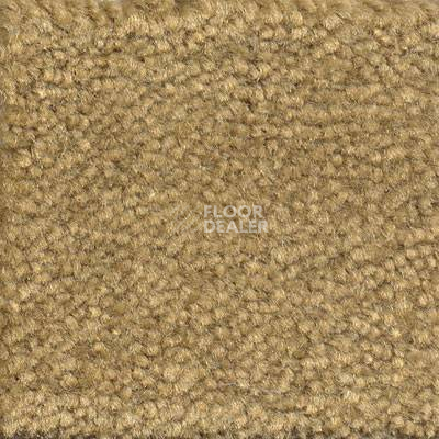 Ковролин Emphatic Beaulieu of America 56755 фото 1 | FLOORDEALER