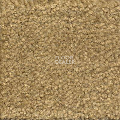 Ковролин Emphatic Beaulieu of America 56755 фото 1 | FLOORDEALER