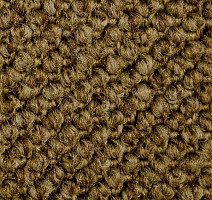 Ковролин Carpet Concept Eco Cut 7204 фото 1 | FLOORDEALER