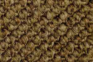 Ковролин Carpet Concept Eco Cut 7204 фото  | FLOORDEALER