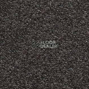 Ковролин AW Surprise 99 фото 1 | FLOORDEALER