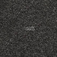 Ковролин AW Surprise 99 фото 1 | FLOORDEALER