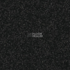 Ковровая плитка Balsan Serenite Sonic Confort 991 фото 1 | FLOORDEALER