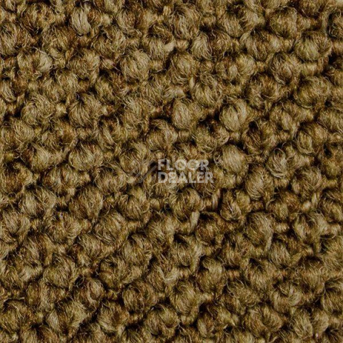 Ковролин Carpet Concept Eco Cut 7204 фото 1 | FLOORDEALER