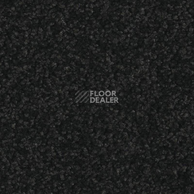 Ковровая плитка Balsan Serenite Sonic Confort 991 фото 1 | FLOORDEALER