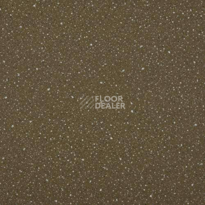 Линолеум Lg Compact CT90524 фото 1 | FLOORDEALER