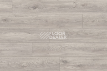 Moduleo Roots 0.55 EIR дерево SIERRA OAK 58936Q фото 2 | FLOORDEALER