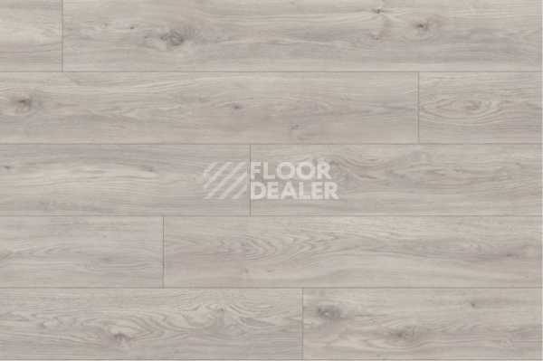 Кварцвиниловые полы Moduleo Roots 0.55 EIR дерево SIERRA OAK 58936Q фото 2 | FLOORDEALER