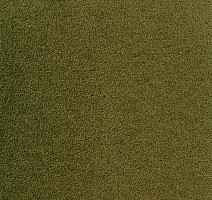 Ковролин Sintelon Eden 59730 фото 1 | FLOORDEALER