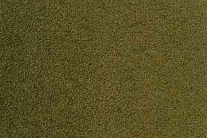 Ковролин Sintelon Eden 59730 фото  | FLOORDEALER